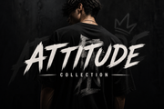 Attitude